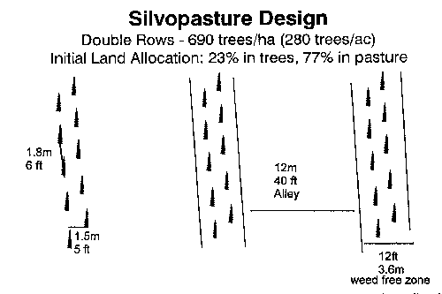 Silvopasture Design with Animals in Mind