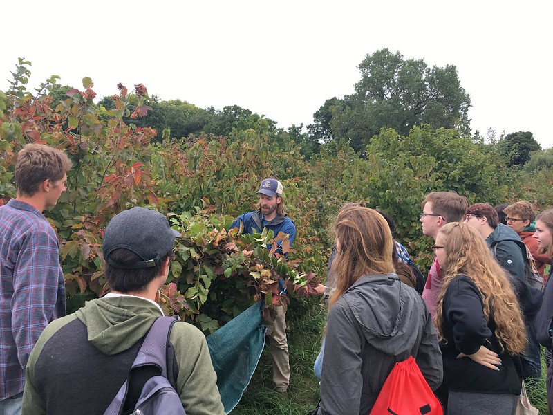 Figure 2: Savanna Institute staff member Scott Brainard leads a presentation on hazelnut production and harvest for a class of students from the University of Wisconsin-Madison. The new online agroforestry course will make agroforestry educational materials available and accessible to interested members of the public.