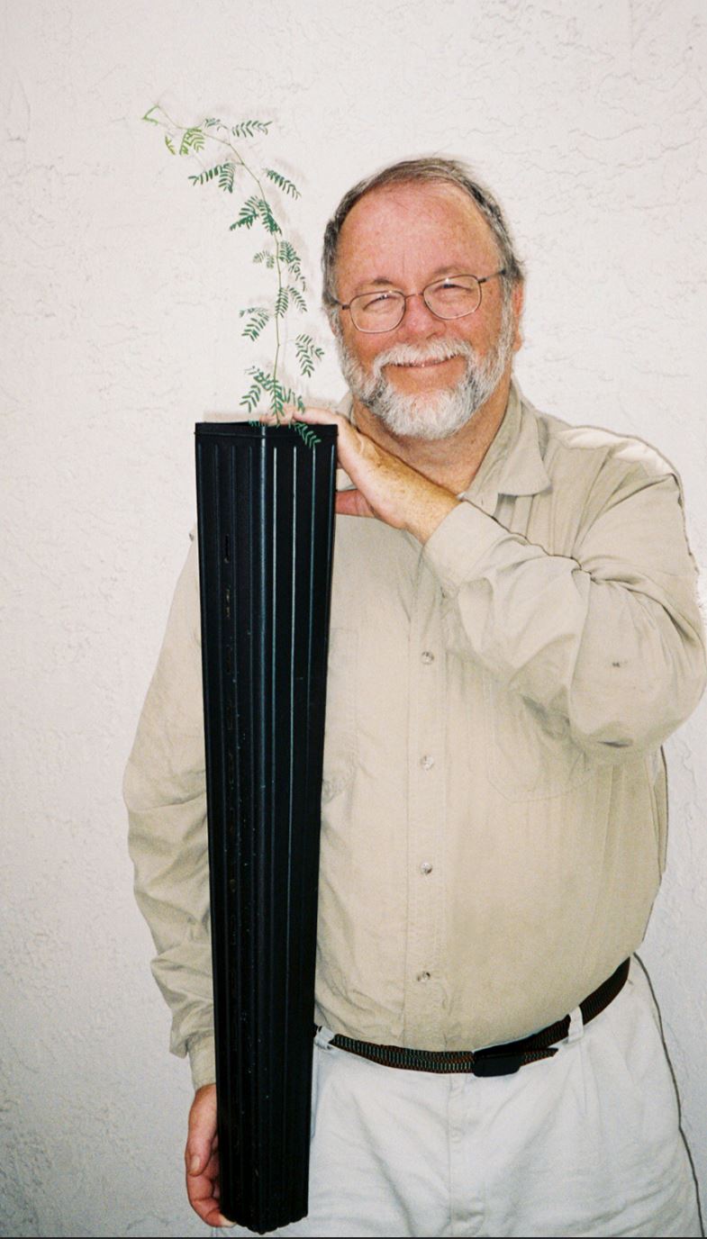 Figure 3 Deep containers are ideal for mesquite, protecting the tap root