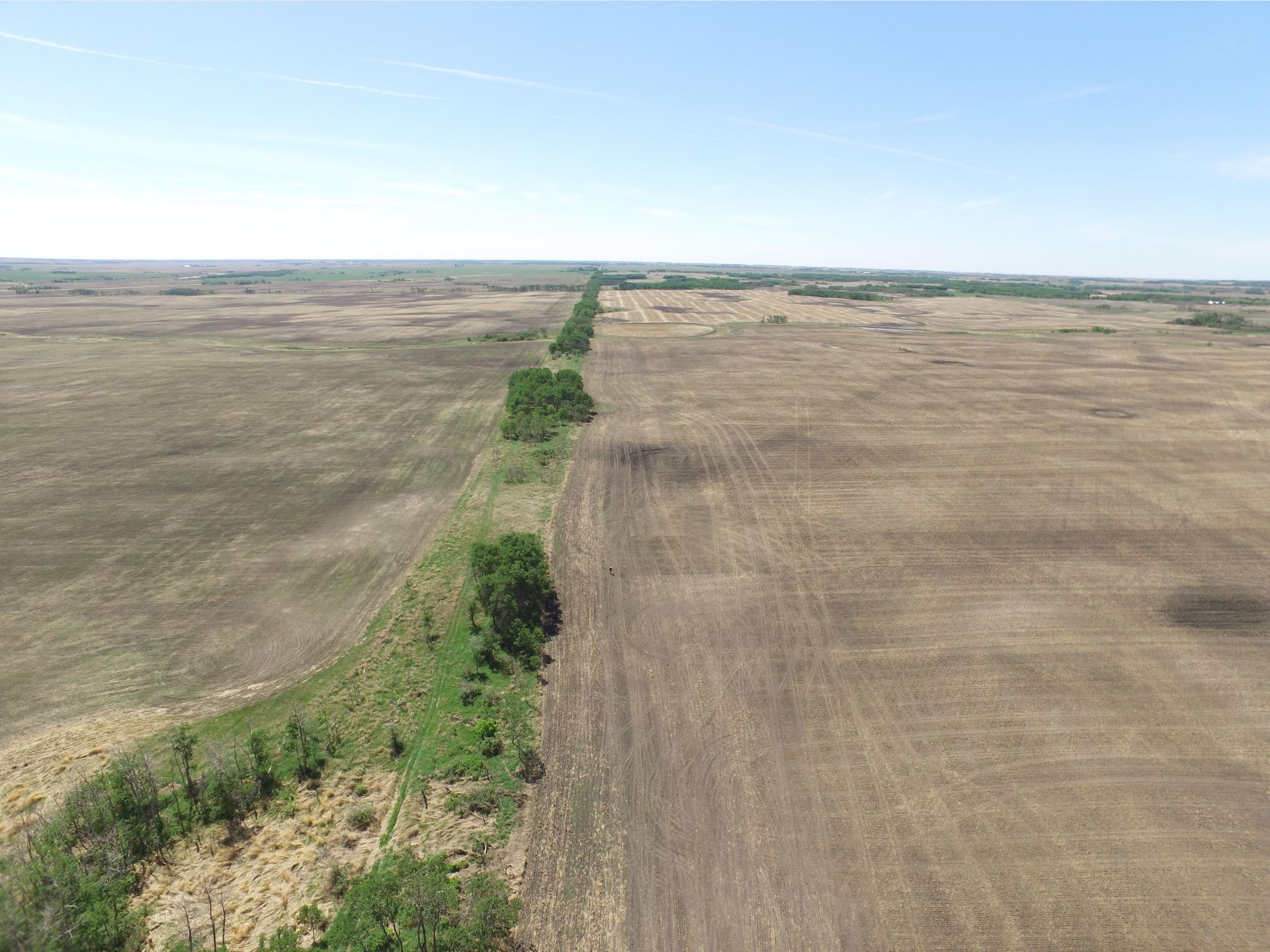 Figure 2 Native field boundary within the prairie agro ecosystem