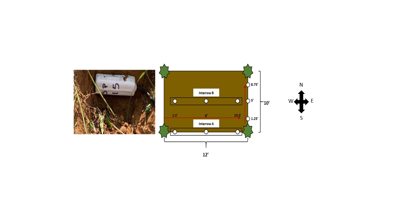 Image for sensor location agroforestry layout compass