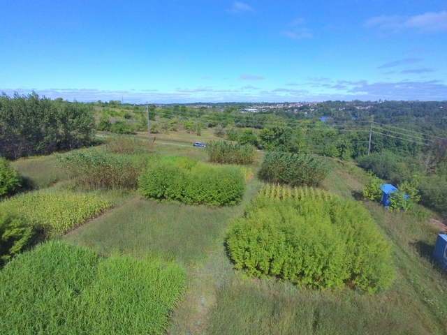 Figure 4. Aerial picture (by drone) showing the long-term biomass research site in Guelph, Ontario, Canada [University of Guelph Research Station (2018)]. 