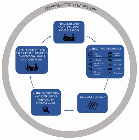 Figure 2. An integrated research design process for species selection that embeds a functional trait approach (Ostertag et al., 2015) within a co-production framework (Hastings et al. 2020).