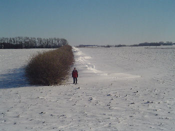 How does a snow fence work?