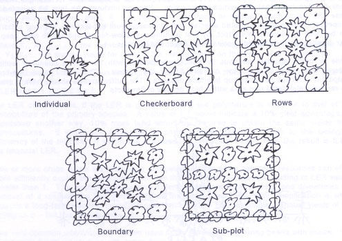 Figure 2 - Fine pattern arrangements